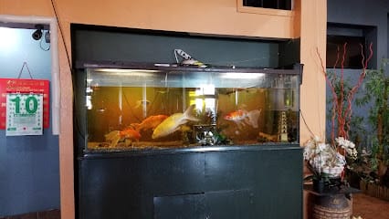 Le-Le M.L.K Restaurant - Vietnamese Restaurant