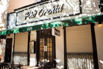 Phở Orchid Restaurant - Vietnamese Restaurant